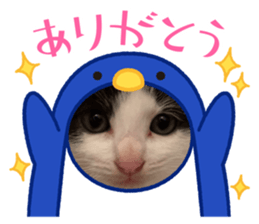 563272401
