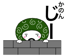 56327874