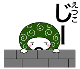 56327954