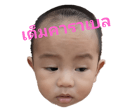 563282681