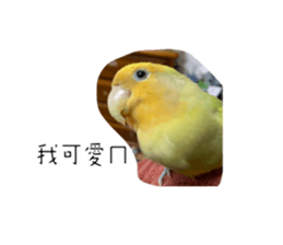 563283592