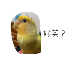 563283602