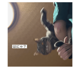 563294254