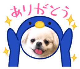563313975