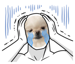 563313985