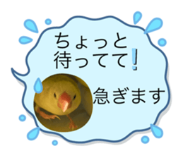 563322458