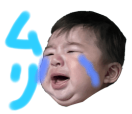 563327754