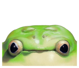 563330306