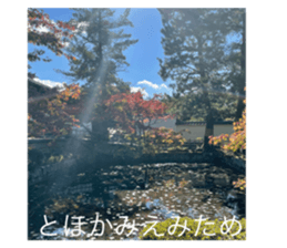 563334462