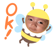 563365558