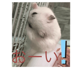 563376654