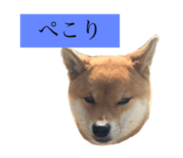 563398092