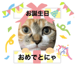 563413196