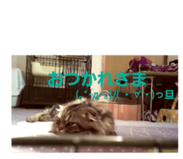 563553145