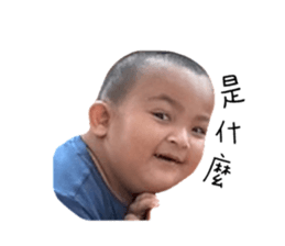 563590369