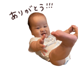 563605306