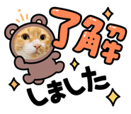 563636146