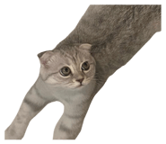 563663499