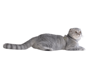 563663505