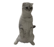 563663507