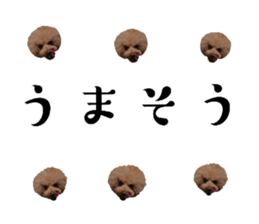 563670625