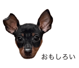 563670730