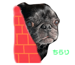 563749081