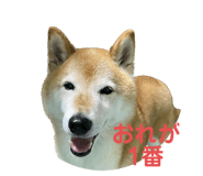 563798054