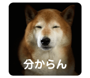 563798060