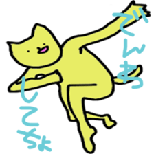 5637981