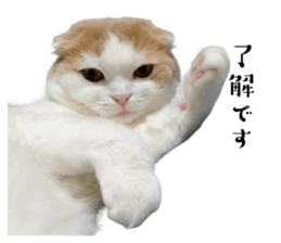 563799168