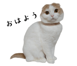 563799171
