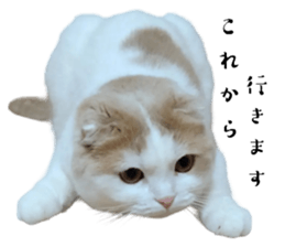 563799174