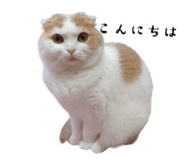 563799176