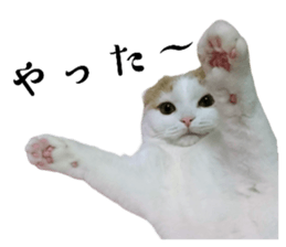 563799179
