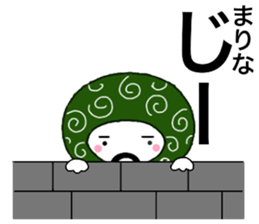 56385442