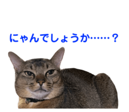 563855677