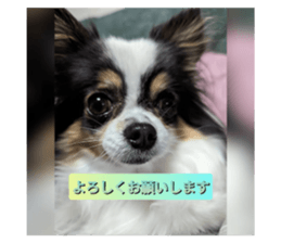 563871777