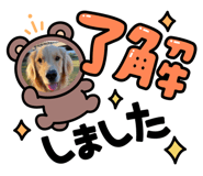 563882569