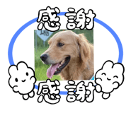 563882581