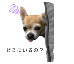 563890221