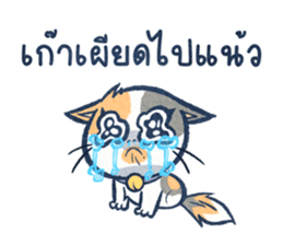 สติกเกอร์ 563892654