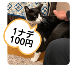 563898180