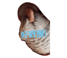563930201