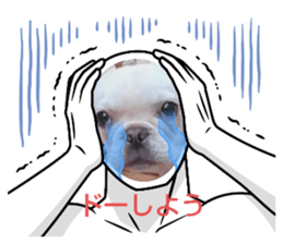 564127679