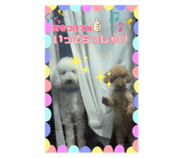 564130094