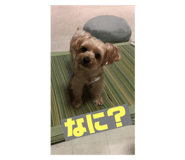 564134213