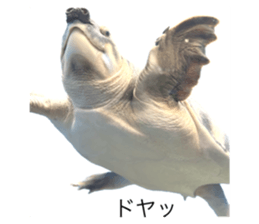 564235842