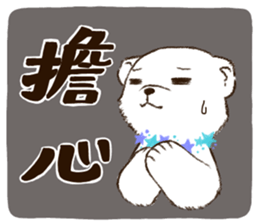 564244371
