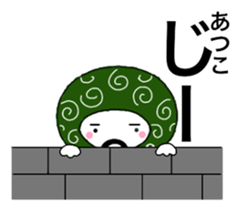 56429050